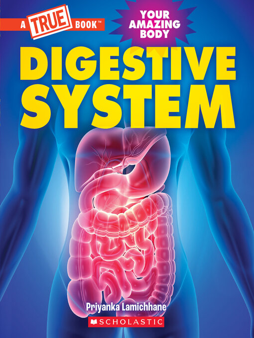 Cover image for Digestive System